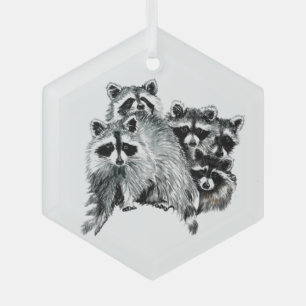 Ornement En Verre Fun Cute Aquarelle Raccoon animal faune nature