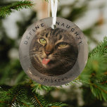 Ornement En Verre Funny Pet Définir Naughty Christmas Photo Glass<br><div class="desc">Amusant animal de compagnie photo ornement en verre de Noël. Caractéristiques de design,  une image de votre chien ou chat,  un ensemble,  le texte 'DEFINE NAUGHTY' et le nom de l'animal. Fait un merveilleux cadeau de gardien.</div>