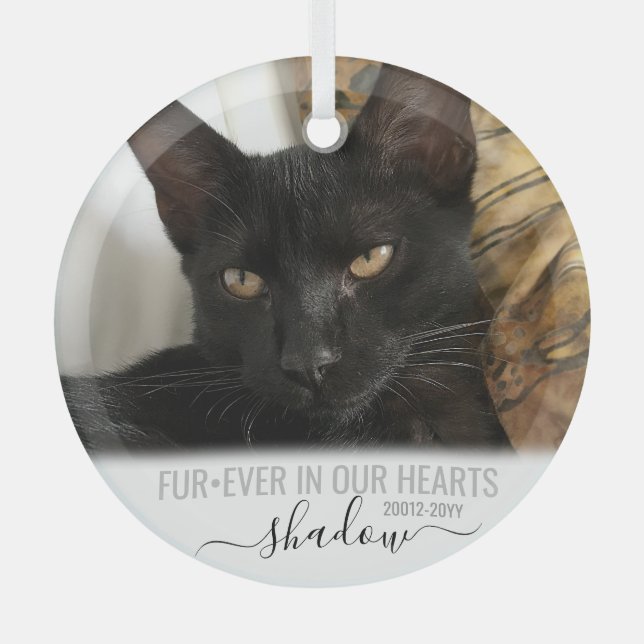 Ornement En Verre FurEver dans nos coeurs Memorial Pet Photo (Recto)
