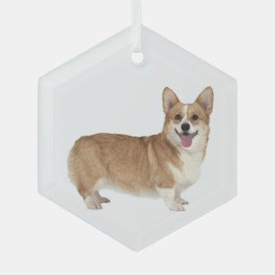 Ornement En Verre Gallois Corgi chien animal animal animal de compag