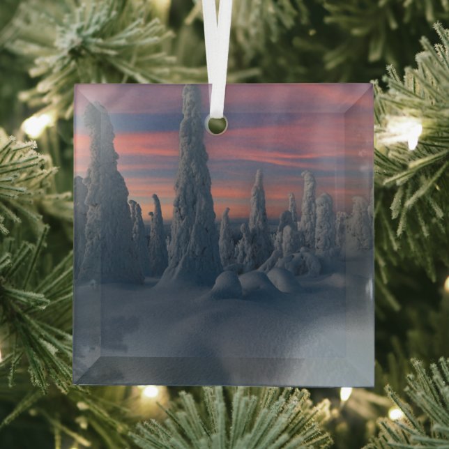 Ornement En Verre Glace et neige | Arbres couverts de neige, Laponie (Insitu)