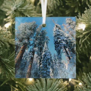 Ornement En Verre Glace et neige Parc national de Sequoia, Califor