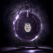 Gothic Memento Mori Vivere Cat Photo Memorial