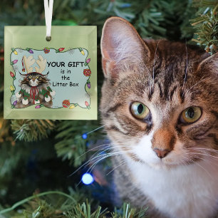 Ornement En Verre Humour de Noël Chat Impertinent Maine Coon Vert Dr