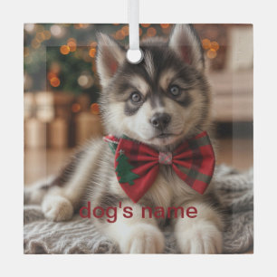 Ornement En Verre Husky personnalisé