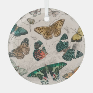 Ornement En Verre Illustration de papillon antique : 1820 Orfèvre