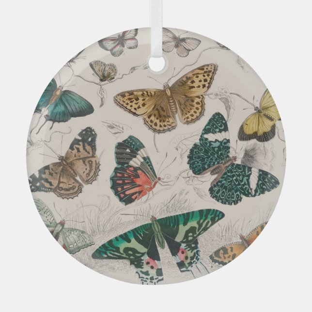 Ornement En Verre Illustration de papillon antique : 1820 Orfèvre (Recto)
