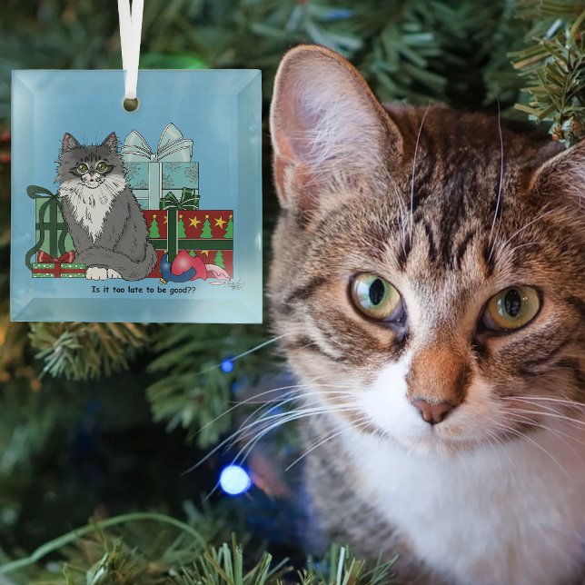 Ornement En Verre Joli Gris Blanc Noël Chat Présents Bleus (Créateur téléchargé)