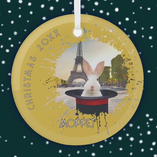 Ornement En Verre Lapin dans un Casquette noir (Créateur téléchargé)