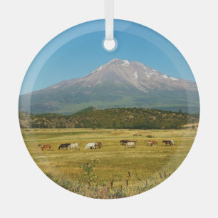 Ornement En Verre Le troupeau de chevaux du mont Shasta