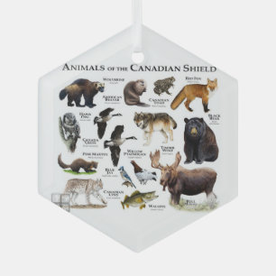 Ornement En Verre "Les animaux du Bouclier canadien".