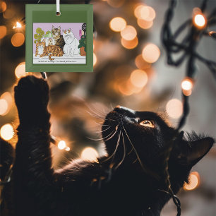 Ornement En Verre Les chats sont en charge
