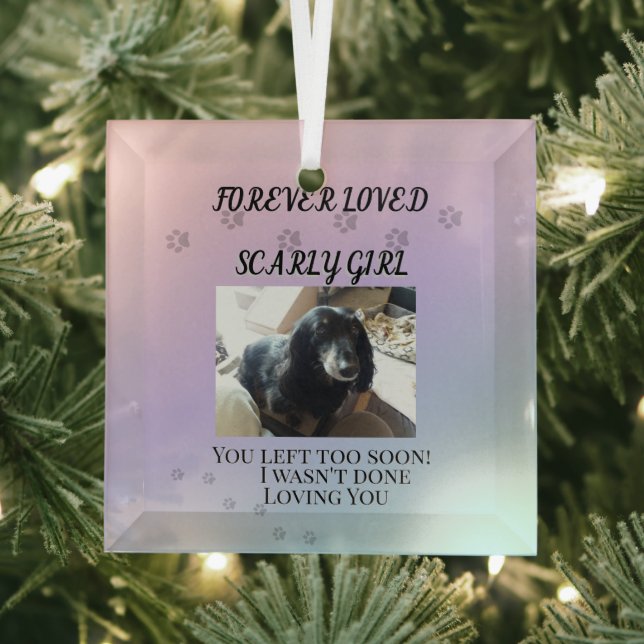 Ornement En Verre Light Beyond the Rainbow Tribute (Insitu)