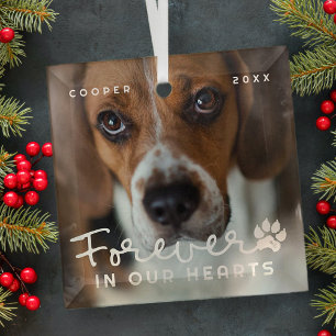 Ornement En Verre Mémorial des animaux dans nos coeurs Photo moderne