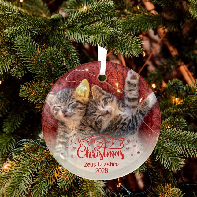 Ornement En Verre Meowy Noël deux photos amusant amoureux des chats (Créateur téléchargé)