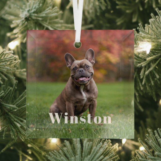 Ornement En Verre Modern Custom Pet Name Photo Holiday (Insitu)