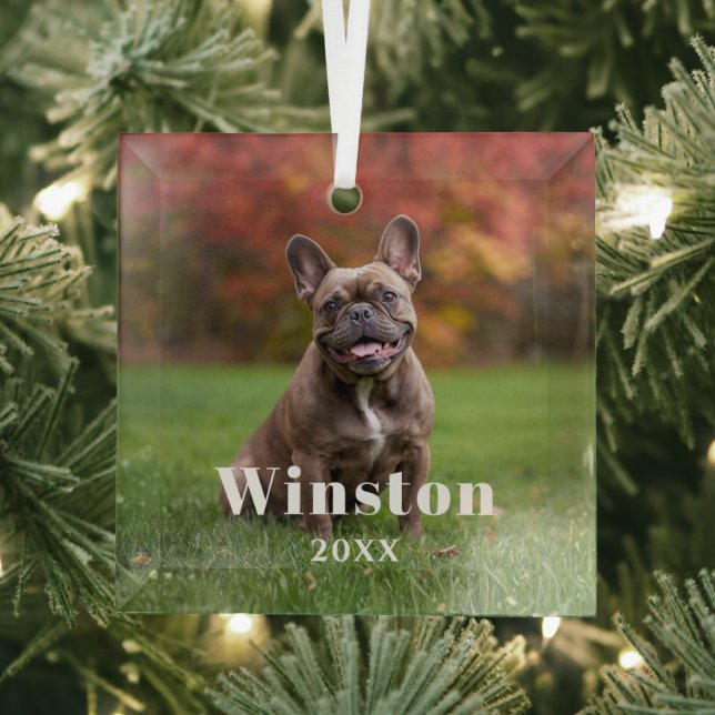 Ornement En Verre Modern Custom Pet Name Year Photo Holiday (Insitu)