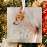 Ornement En Verre Modern Playful Simple Elegant Chic Pet Photo<br><div class="desc">This simple and classic design is composed of serif typography and add a custom photo of your pet.</div>