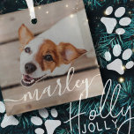 Ornement En Verre Moderne Simple Jouer Élégant Chic Pet Photo<br><div class="desc">Ce design simple et classique est composé de typographie serif et d'ajouter une photo personnalisée de votre animal de compagnie.</div>