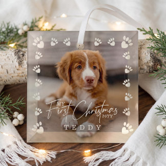 Ornement En Verre Mon premier Noël Photo personnalisée de chien empr