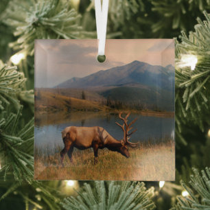 Ornement En Verre Montagnes   Jacques Mountain Range Alberta Canada