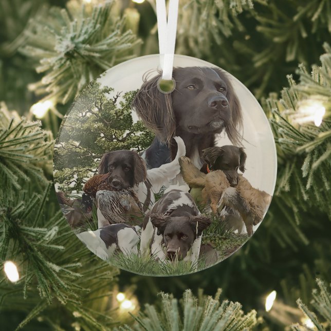 Ornement En Verre Munsterlander (Insitu)