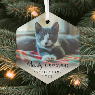 Ornement En Verre N'Importe Quel Texte Meowy Chat de Noël Simple Hex