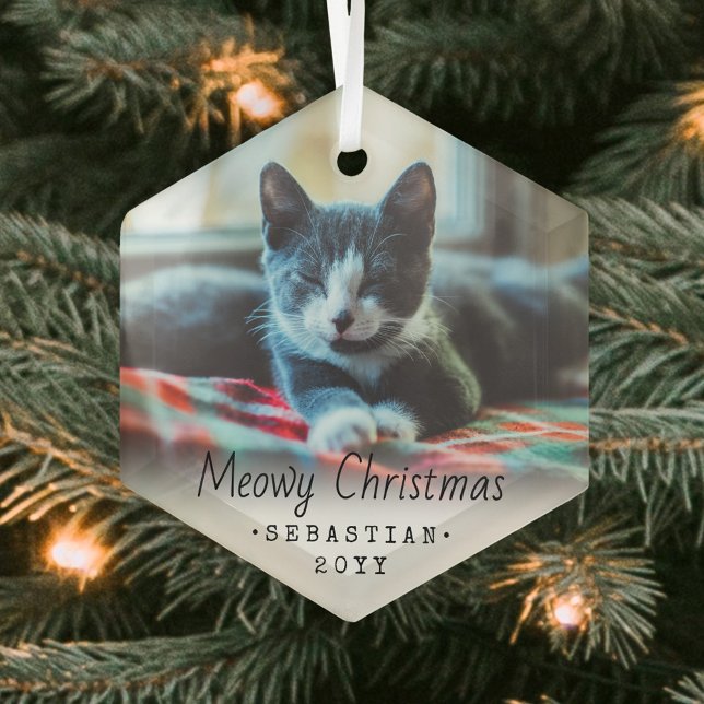 Ornement En Verre N'Importe Quel Texte Meowy Chat de Noël Simple Hex (Créateur téléchargé)