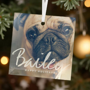 Ornement En Verre Noël de l'animal de compagnie Simple Happy Holiday