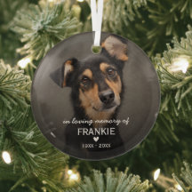 Noël Souvenir Photo de Chien en Mémoire Affectueus