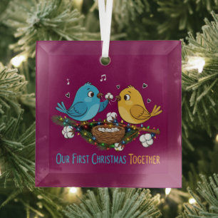 Ornement En Verre Notre Premier Noël Ensemble Adorables Amoureux