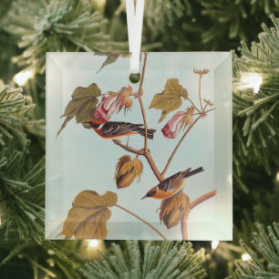 Ornement En Verre Oiseau de Paruline à poitrine d'Audubon sur Plante