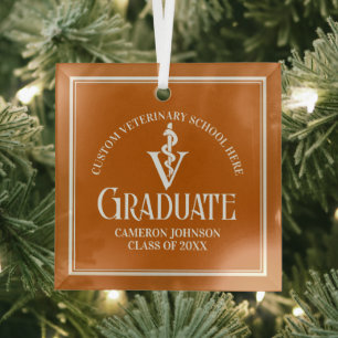 Ornement En Verre Orange Vétérinaire Noël