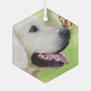 Ornement En Verre Oreiller À Lancer Du Labrador Et Du Papillon