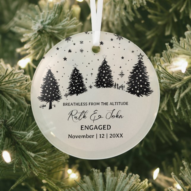 Ornement En Verre Ours de pin de Noël Ski Couple Fiançailles (Insitu)