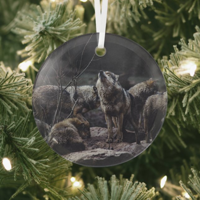 Ornement En Verre Pack Wolf (Insitu)