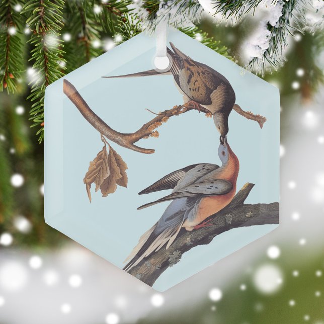 Ornement En Verre Paire Audubon de baiser des pigeons voyageurs (Audubon Pair of Passenger Pigeons Glass ornament in snowy Christmas Tree)