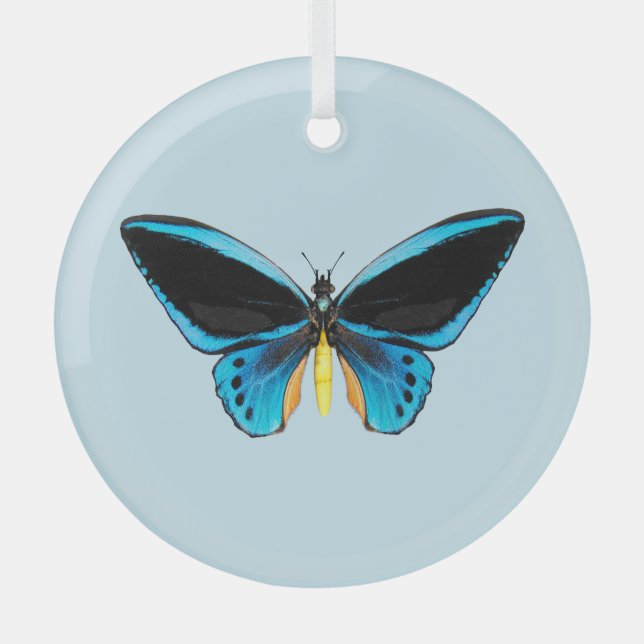 Ornement En Verre Papillon Birdwing (Recto)