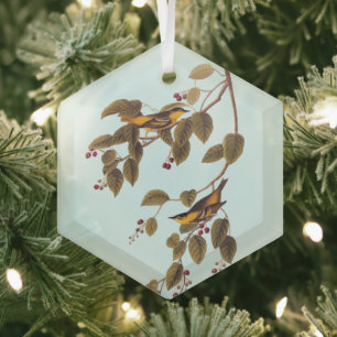 Ornement En Verre Paruline carbonée Audubon Oiseau