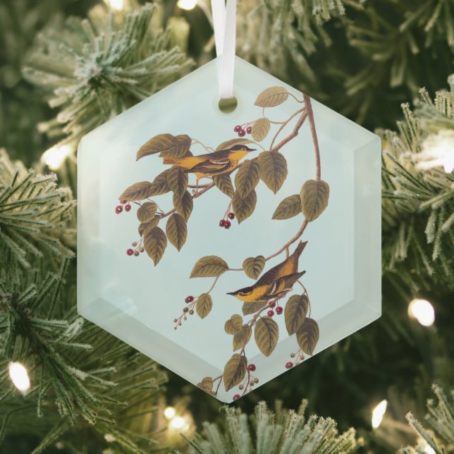 Ornement En Verre Paruline carbonée Audubon Oiseau (Insitu)