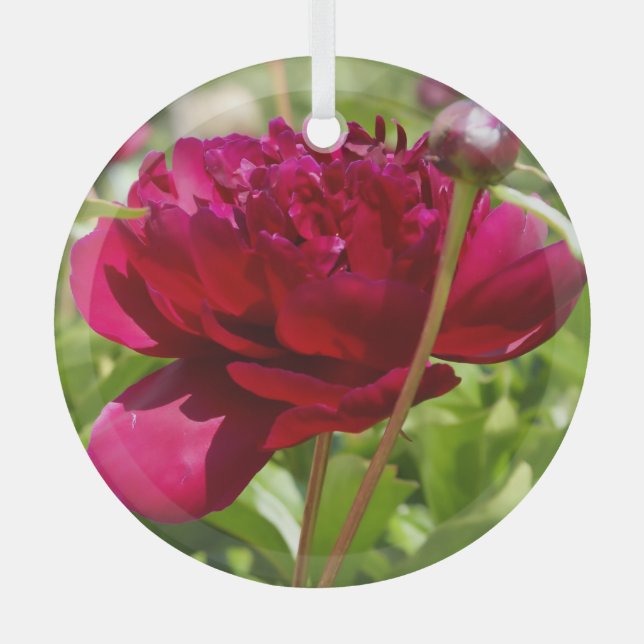 Ornement En Verre Peonées de velours de Maron foncé (Recto)