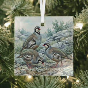 Ornement En Verre Perdrix bartavelle ,Alectoris Graeca Oiseaux de Ch