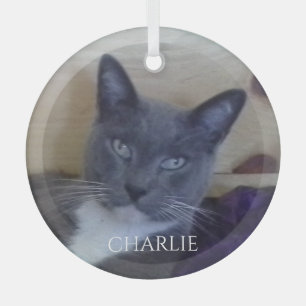 Ornement En Verre PET LOVE Cercle de verre ornement