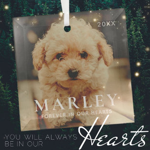Ornement En Verre Pet Memorial Forever Hearts Simple Elegant Photo