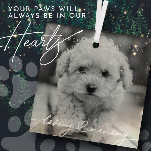 Ornement En Verre Pet Memorial Love Memory Simple Photo moderne (Créateur téléchargé)