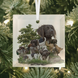 Ornement En Verre Petit Munsterlander