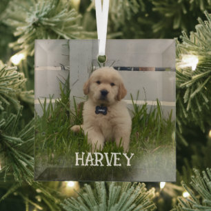 Ornement En Verre Photo de mon chien Noël