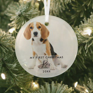 Ornement En Verre Photo de mon premier Noël avec mon chien chat