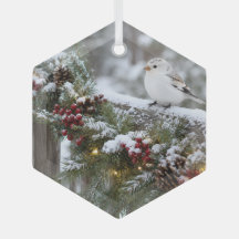 Pinson des neiges de Noël 