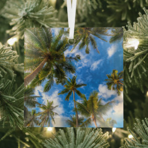 Ornement En Verre Plages tropicales Palmiers sur le ciel bleu